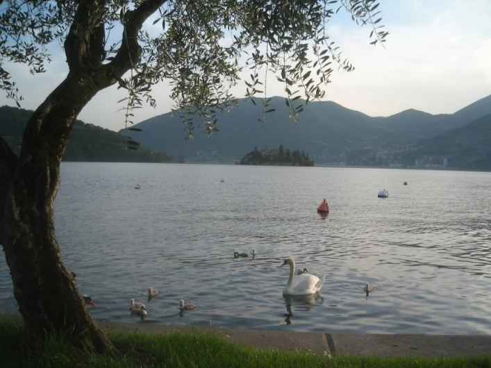 Campeggio Riva di San Pietro - zdjęcie 1