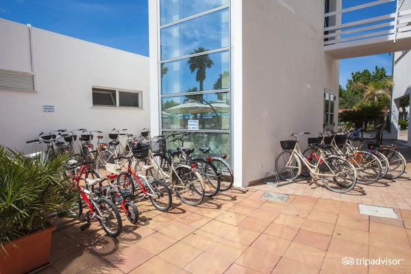 zobacz camping - zdjęcie 84