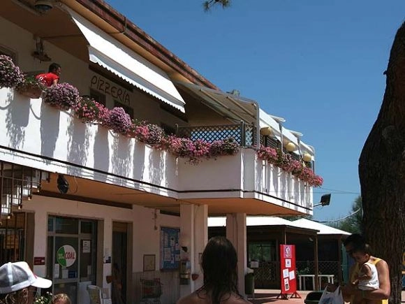 zobacz camping - zdjęcie 76