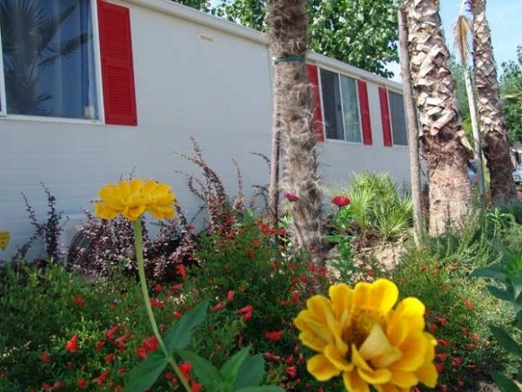 zobacz camping - zdjęcie 74