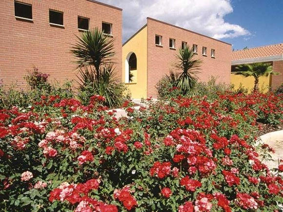 zobacz camping - zdjęcie 71