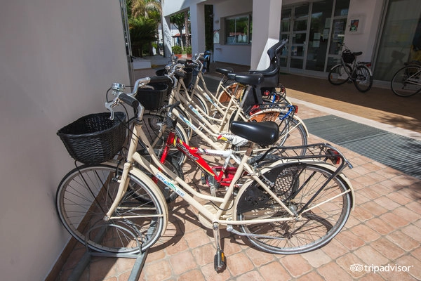 zobacz camping - zdjęcie 61