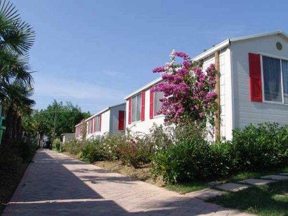 zobacz camping - zdjęcie 52