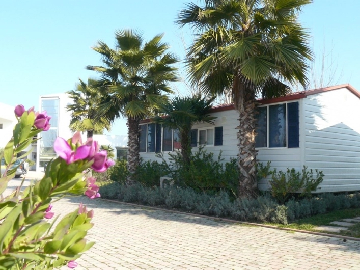 zobacz camping - zdjęcie 37