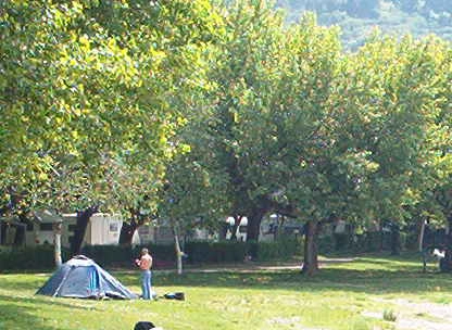 zobacz camping - zdjęcie 10