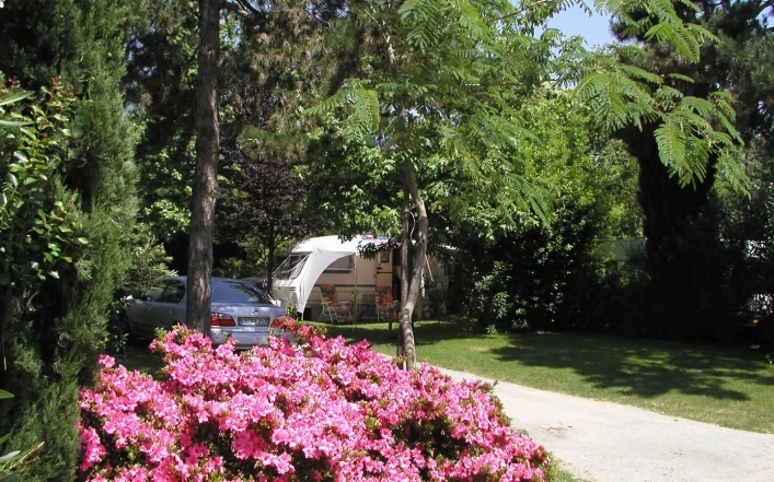 zobacz camping - zdjęcie 24