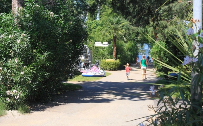 zobacz camping - zdjęcie 10