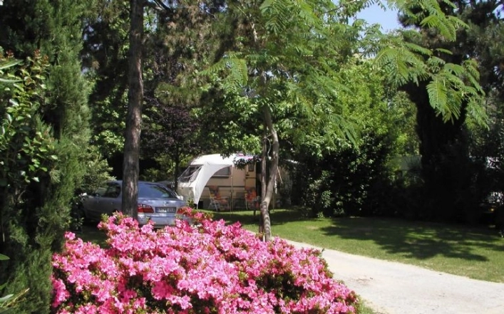 zobacz camping - zdjęcie 9