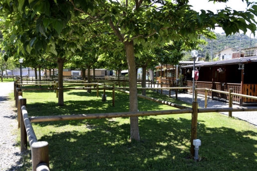 zobacz camping - zdjęcie 19