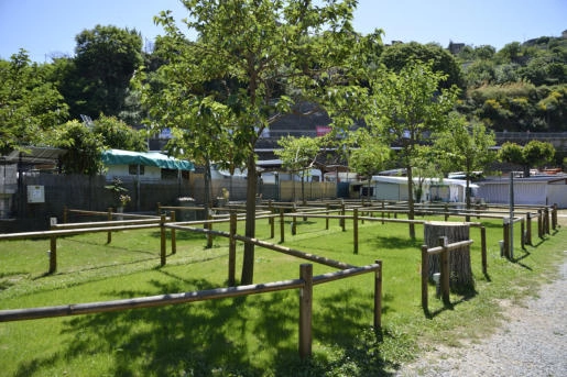 zobacz camping - zdjęcie 7