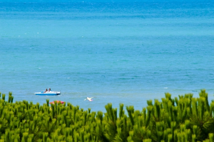 zobacz camping - zdjęcie 16