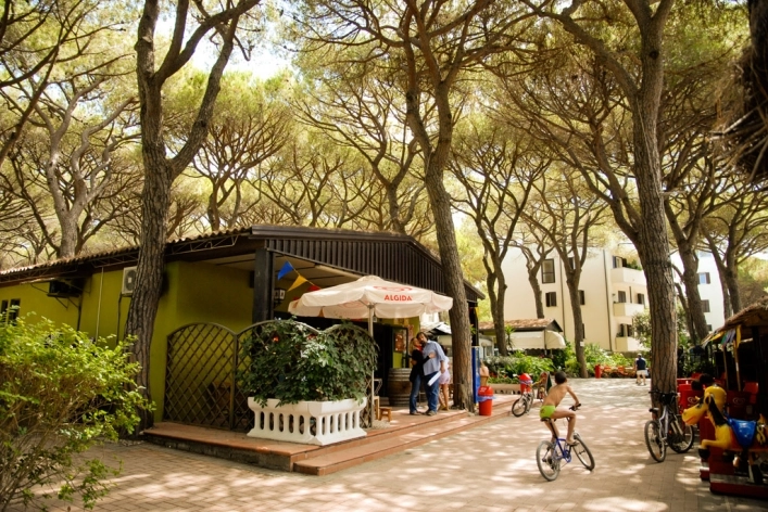 zobacz camping - zdjęcie 11