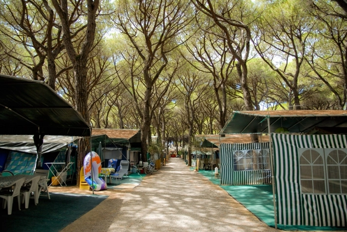 zobacz camping - zdjęcie 8