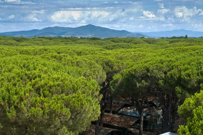 zobacz camping - zdjęcie 6