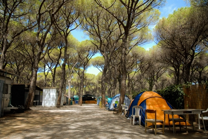 zobacz camping - zdjęcie 4