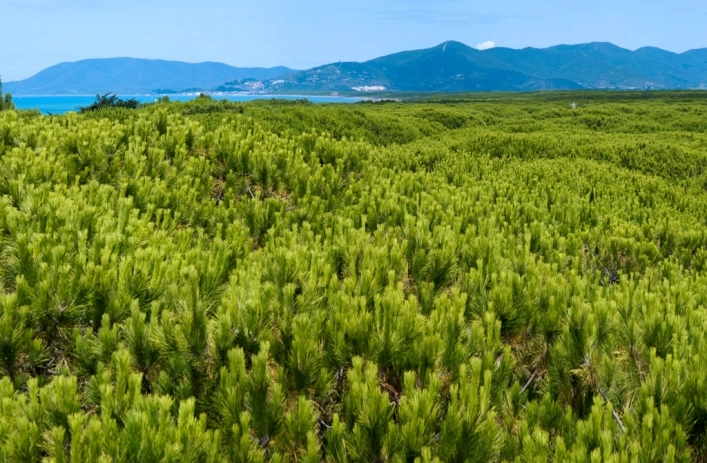 zobacz camping - zdjęcie 3