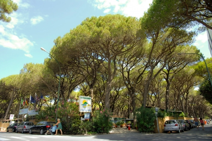 zobacz camping - zdjęcie 2