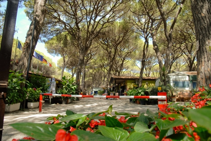 zobacz camping - zdjęcie 1