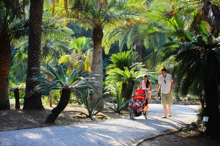 zobacz camping - zdjęcie 60