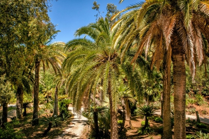 zobacz camping - zdjęcie 59