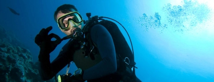 zobacz camping - zdjęcie 54