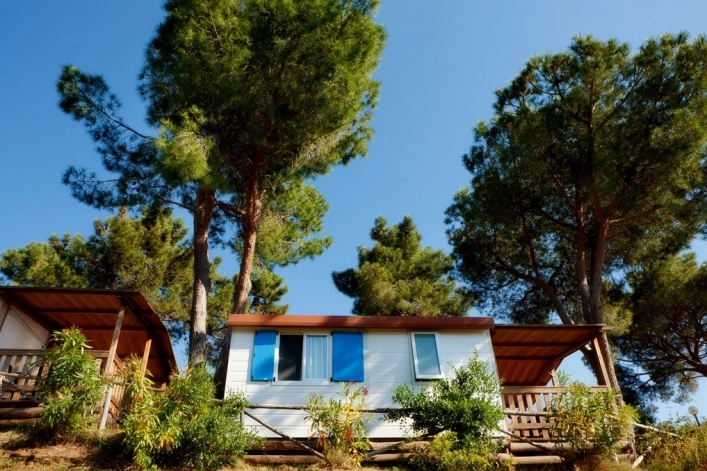 zobacz camping - zdjęcie 48