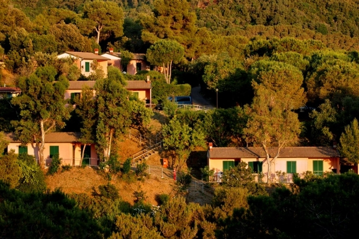 zobacz camping - zdjęcie 45