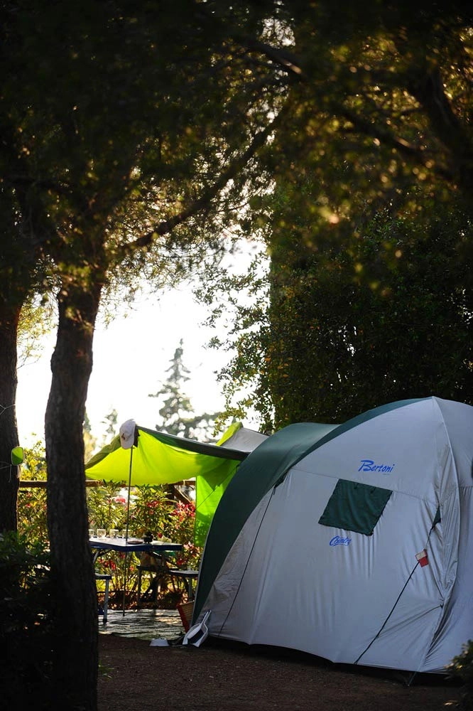 zobacz camping - zdjęcie 44