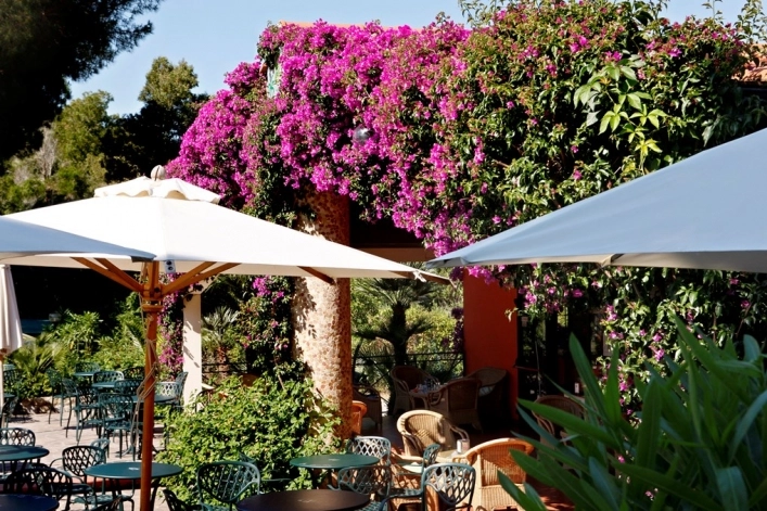 zobacz camping - zdjęcie 20