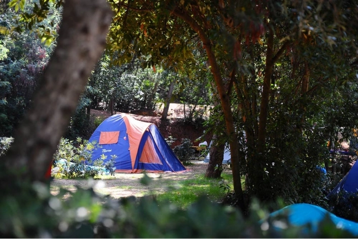 zobacz camping - zdjęcie 8