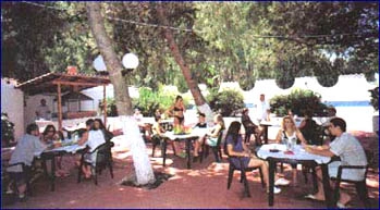 zobacz camping - zdjęcie 7