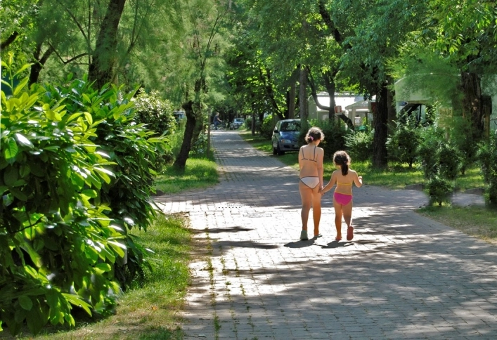 zobacz camping - zdjęcie 23