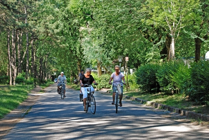 zobacz camping - zdjęcie 17