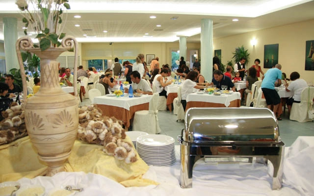 zobacz camping - zdjęcie 71