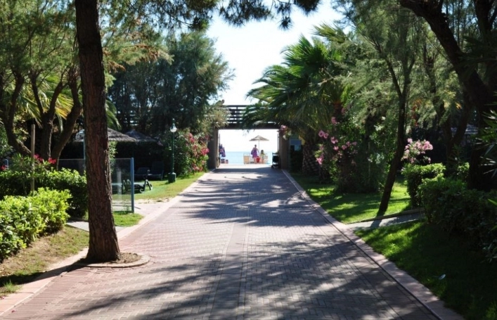 zobacz camping - zdjęcie 67