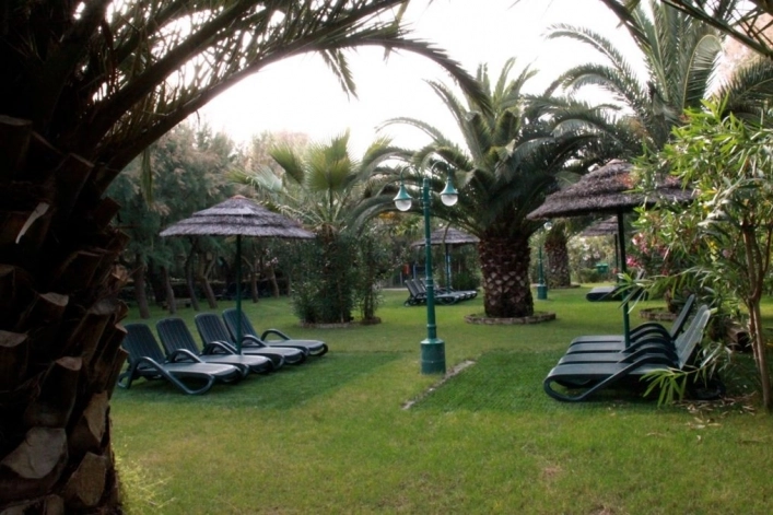 zobacz camping - zdjęcie 61