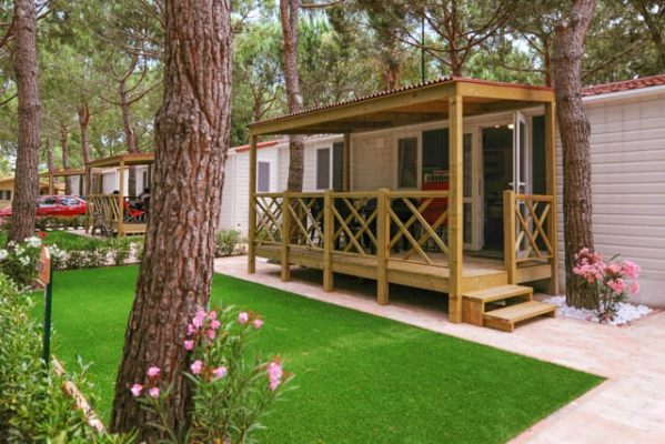 zobacz camping - zdjęcie 57