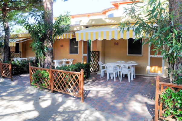 zobacz camping - zdjęcie 53