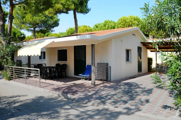 zobacz camping - zdjęcie 45