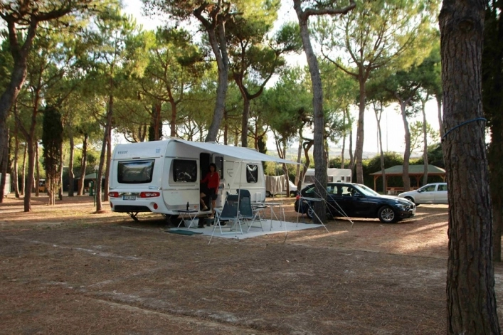 zobacz camping - zdjęcie 36