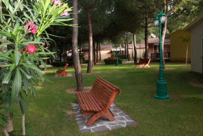 zobacz camping - zdjęcie 33