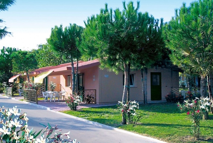 zobacz camping - zdjęcie 29