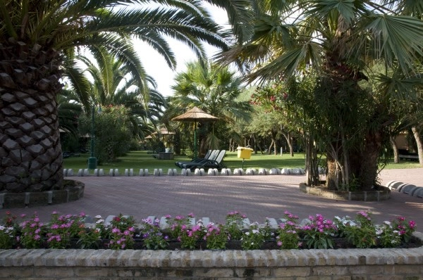 zobacz camping - zdjęcie 23