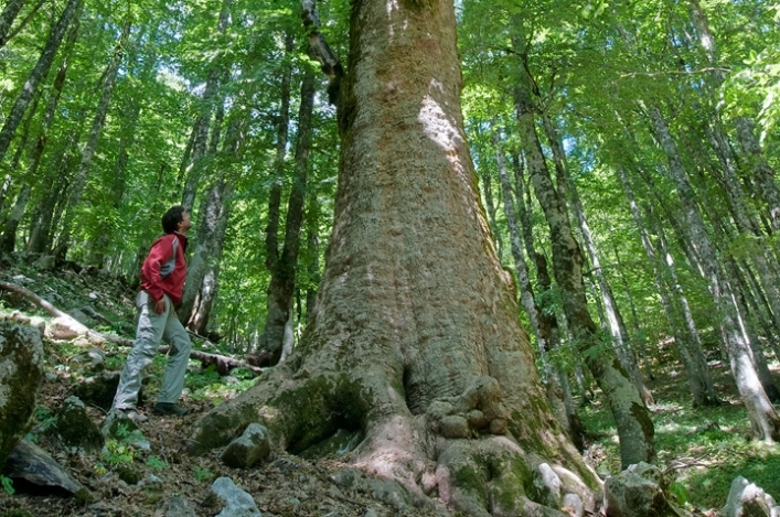 Campeggio Sant`andrea - zdjęcie 3