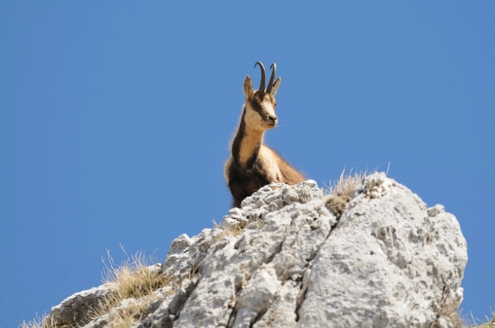 Campeggio Sant`andrea - zdjęcie 2