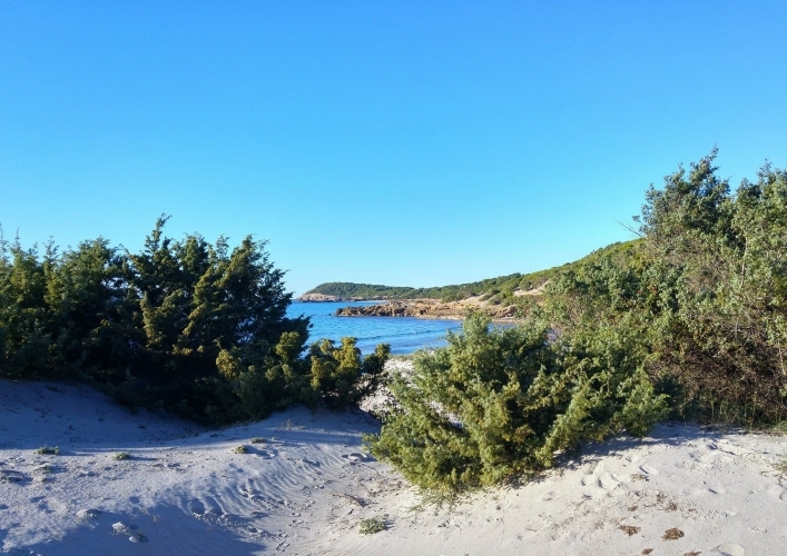 zobacz camping - zdjęcie 21