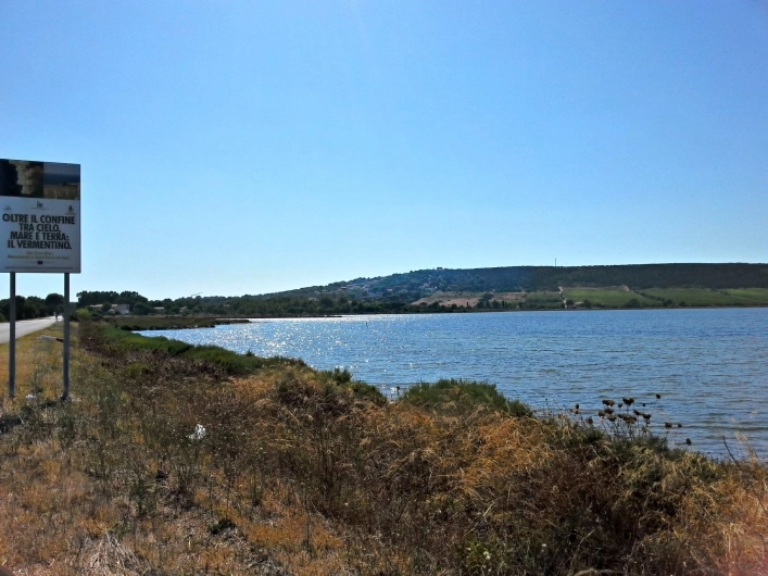 zobacz camping - zdjęcie 14