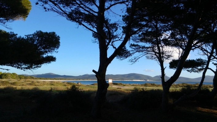 Campeggio Sardegna - zdjęcie 4