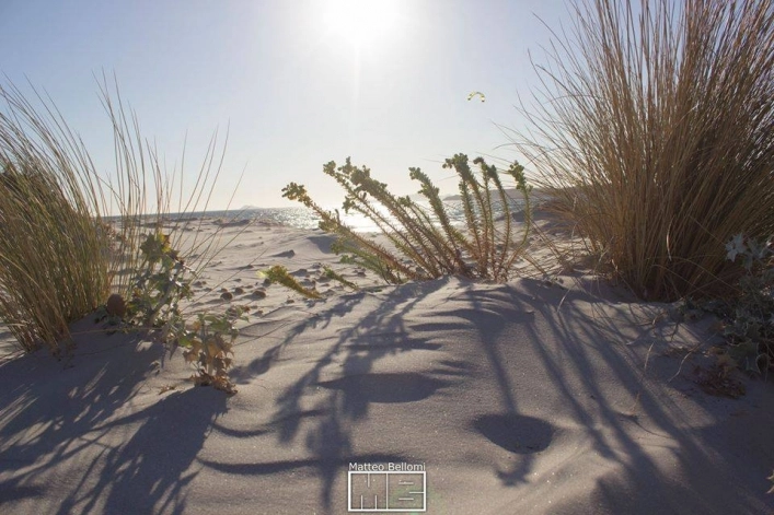 Campeggio Sardegna - zdjęcie 2