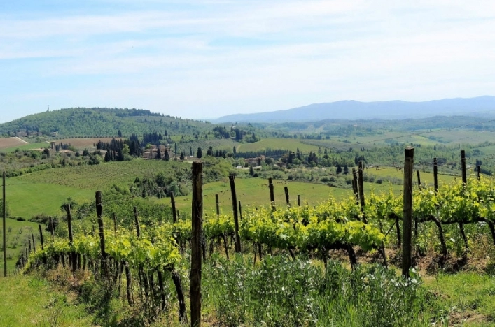 zobacz camping - zdjęcie 21